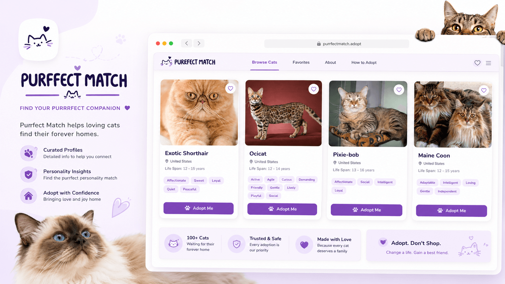Screenshot of the Purrfect Match interface